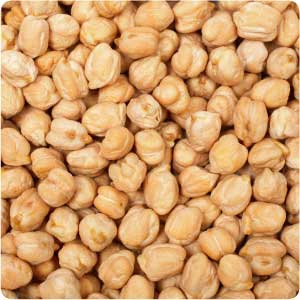 PB & Jason Issue 21: Rhymes with "Airsick Chickpea"