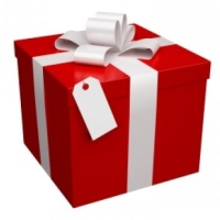 Holiday Buyer's Guide 2010
