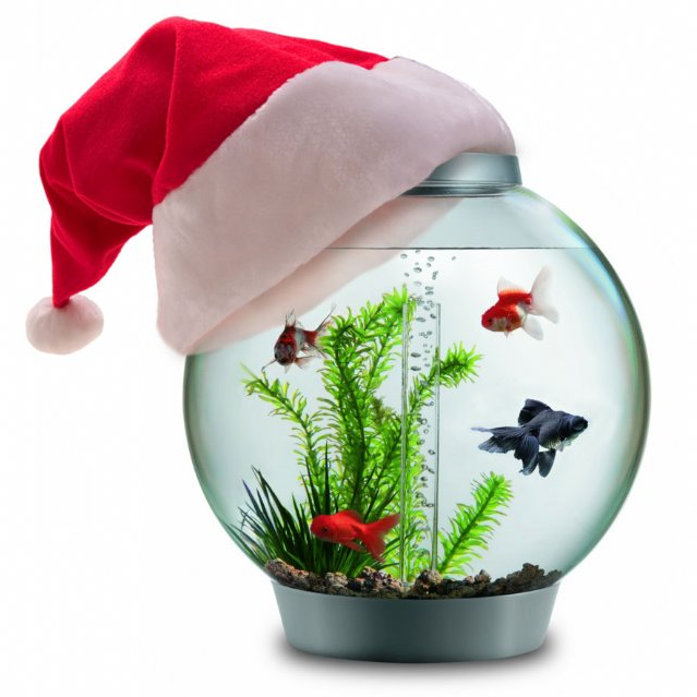 The Quick Guide to Last-Minute Christmas Shopping