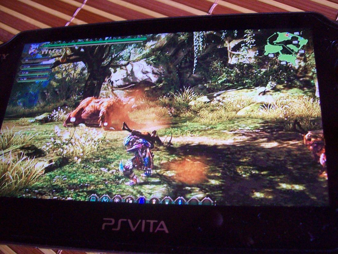 Monster Hunter Vita Coming This Year?
