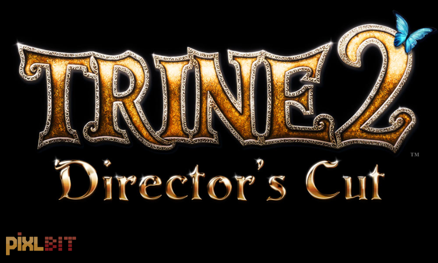 Trine 2: Director's Cut