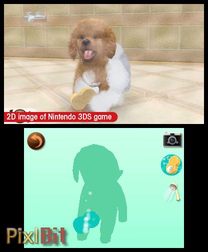Nintendogs + Cats: French Bulldog & New Friends Screenshot