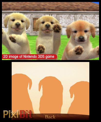 Nintendogs + Cats: French Bulldog & New Friends Screenshot