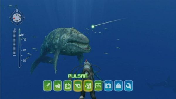 Endless Ocean: Blue World Review Screenshot