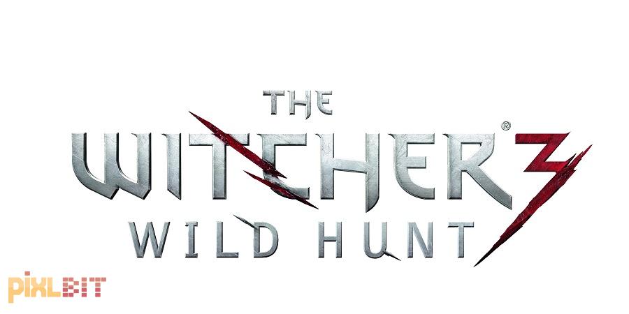 The Witcher 3: Wild Hunt Review Screenshot