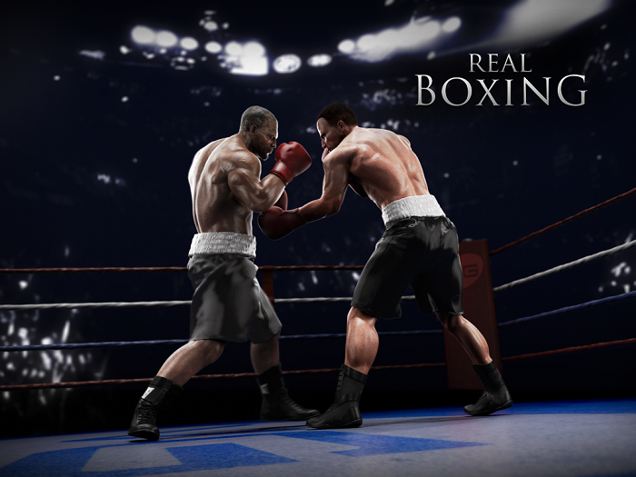 Real Boxing