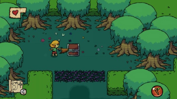 Ittle Dew Review Screenshot